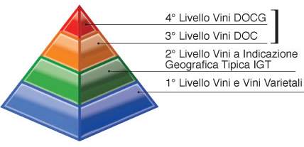 classificazione-qualita-vini