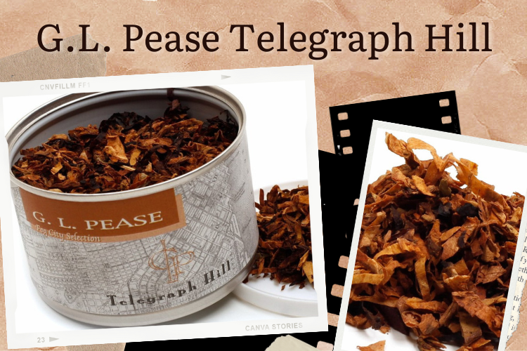 G.L. Pease Telegraph Hill Gusto Tabacco
