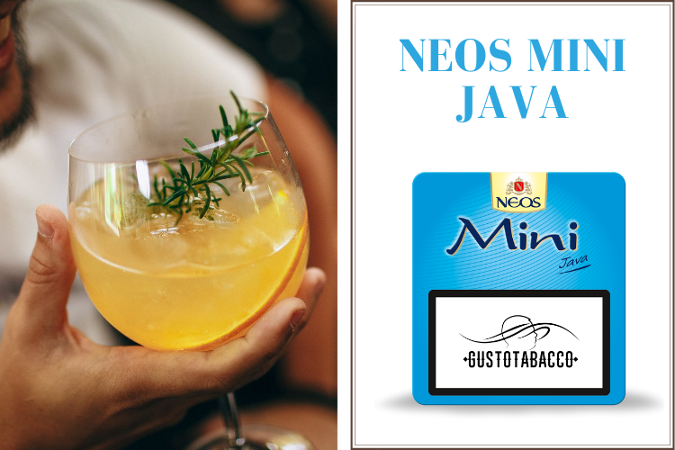 Neos Mini Java - Gusto Tabacco