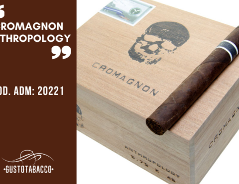 CroMagnon Anthropology cover