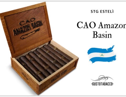 CAO Amazon Basin cover