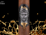 Alec & Bradley Gatekeeper toro cover