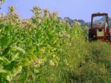 Coldiretti Philip Morris Italia