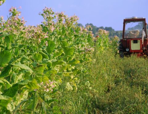 Coldiretti Philip Morris Italia