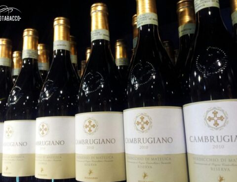 Cambrugiano di Belisario cover