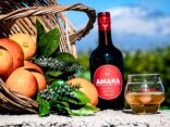 amaro amara cover